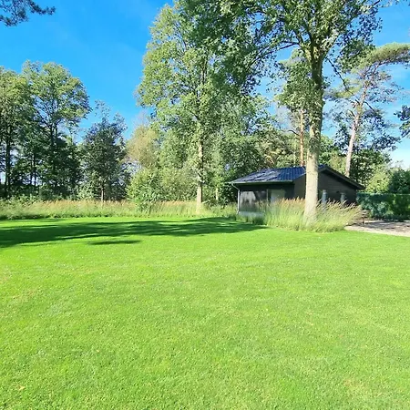 Quercus * Valkenswaard